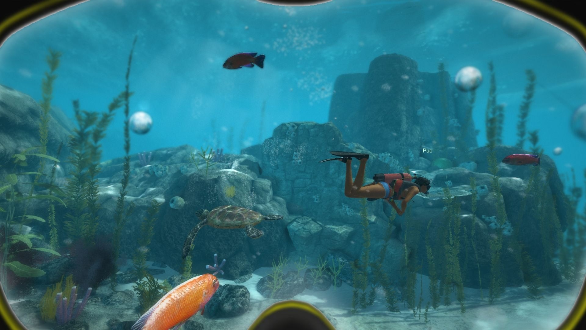 Игра про под воду. World of Diving игра. Подводные миры в играх. Игра про подводный мир. Игра про аквалангиста.